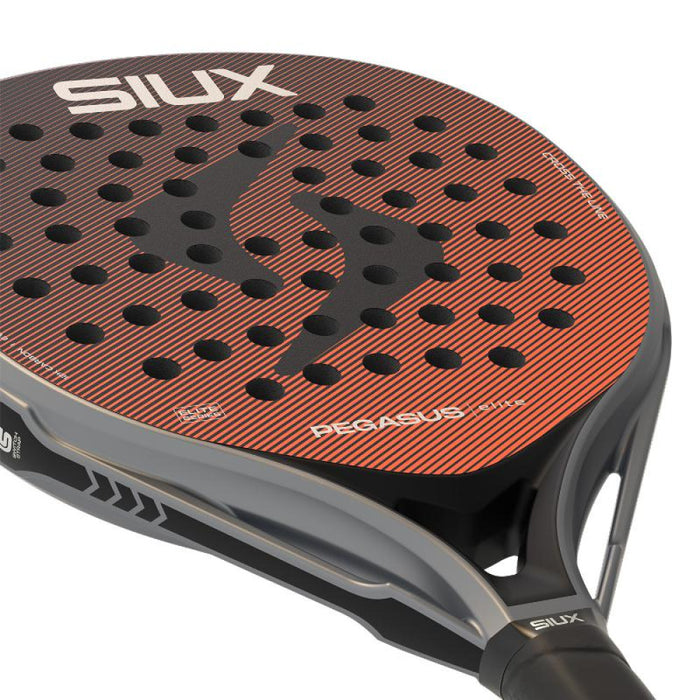 Siux Pegasus Elite 2026 - TESTRACKET