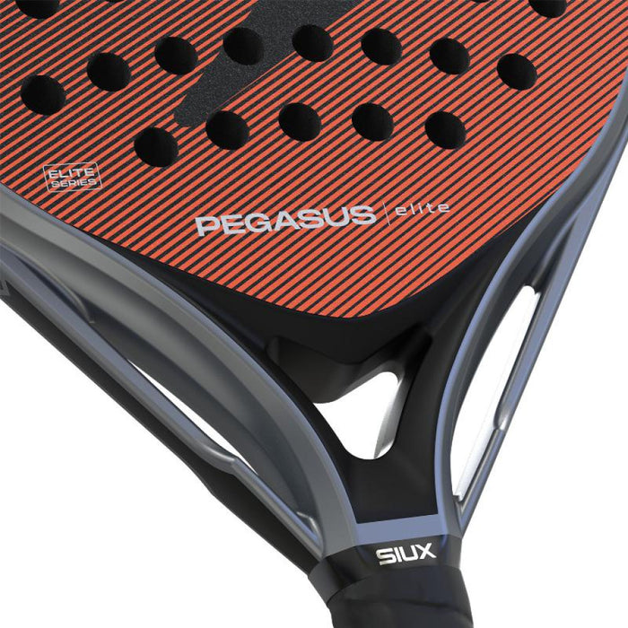 Siux Pegasus Elite 2026 - TESTRACKET