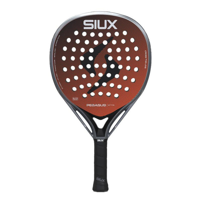 Siux Pegasus Elite 2026 - TESTRACKET