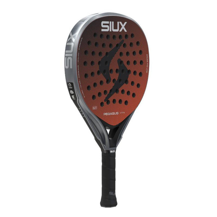 Siux Pegasus Elite 2026 - TESTRACKET