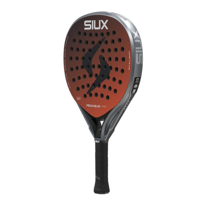 Siux Pegasus Elite 2026 - TESTRACKET